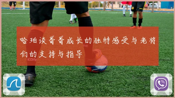 哈珀谈哥哥成长的独特感受与老将们的支持与指导