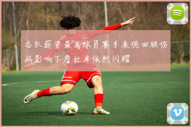 各队薪资最高球员赛季表现回顾伤病影响下詹杜库依然闪耀